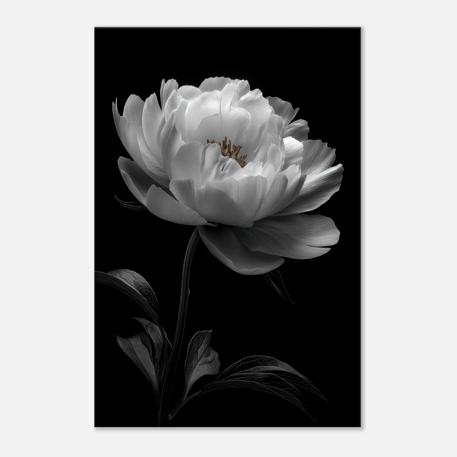 390eaeb0-7b60-470e-af15-b0b3446f0d49