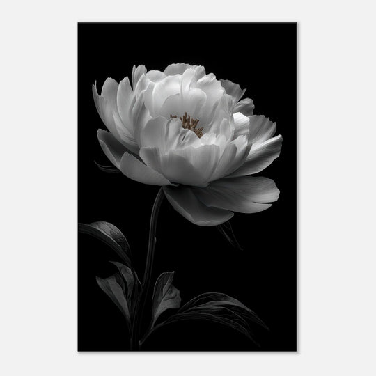 390eaeb0-7b60-470e-af15-b0b3446f0d49