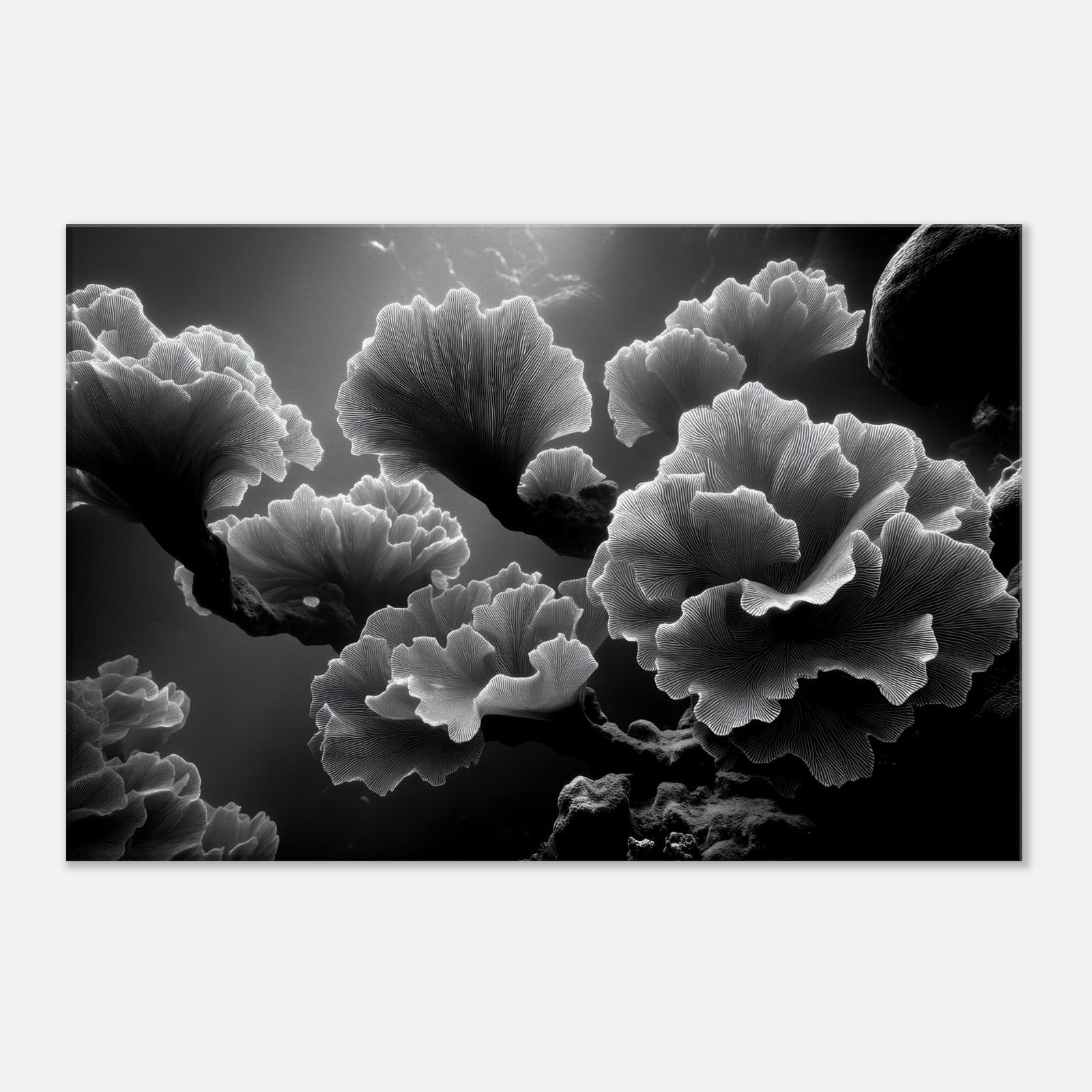 3981a12f-e257-4741-a8d7-ceb68280cfcb