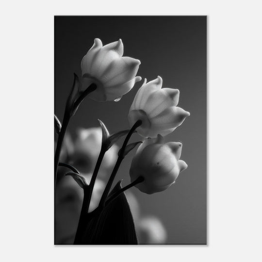 39c86a98-bf9c-416a-8abf-8a59af2555aa