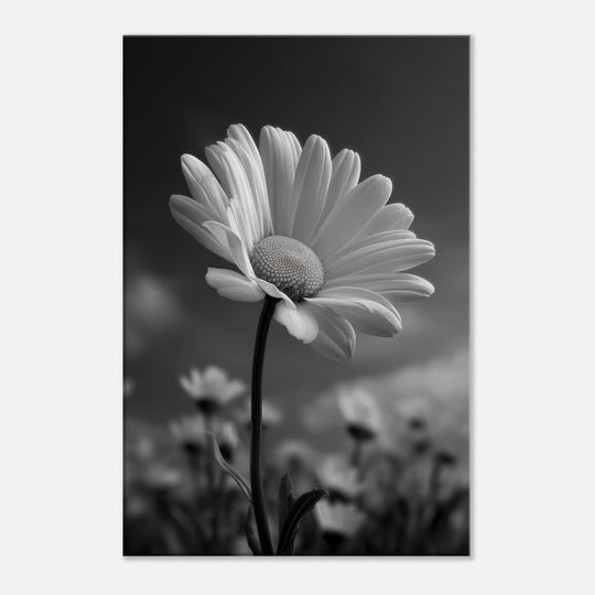 3a0b3e44-3072-44cf-8125-0776e60e5476