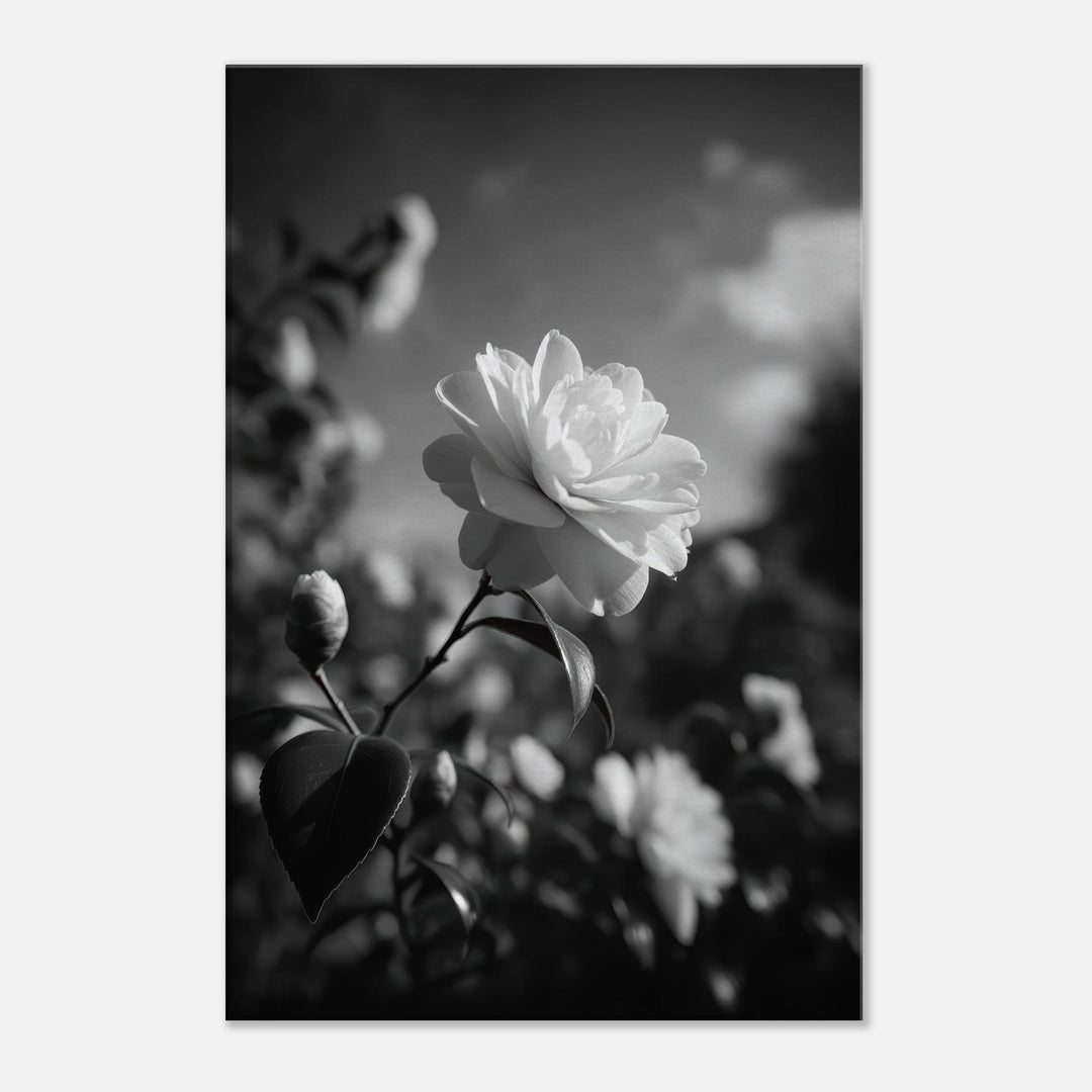 3b61ef6c-9ec0-4cb7-8bdd-4b034cf70e19