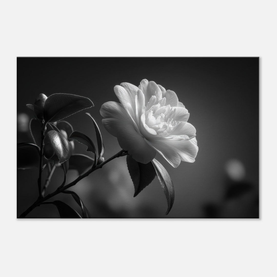 3bd5b3b6-3107-487c-b157-447fe1d56630