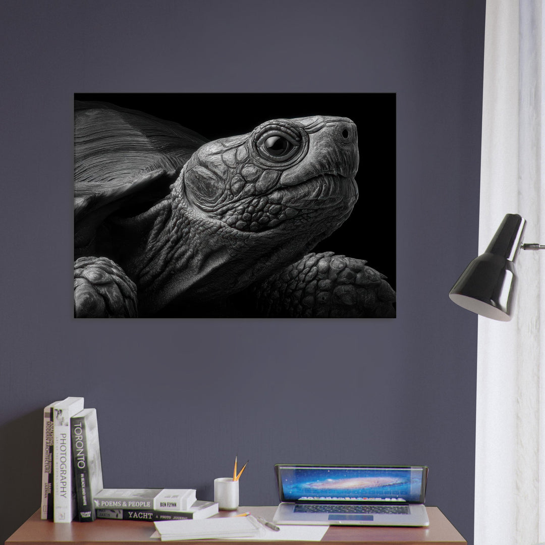 3bdda38d-5938-4d9d-a586-839a42f850bc