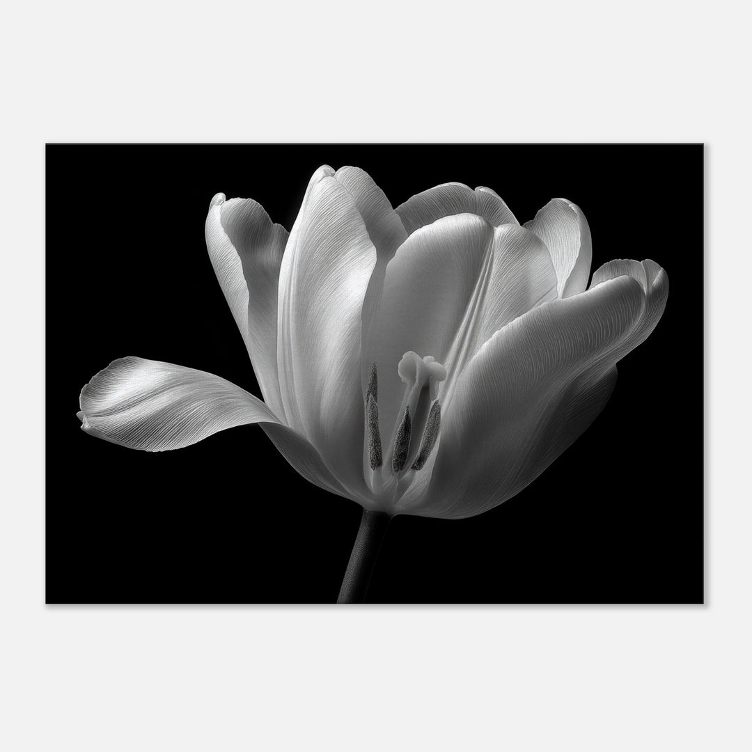 3bf398fa-962d-43fa-8941-13ec65cfe655