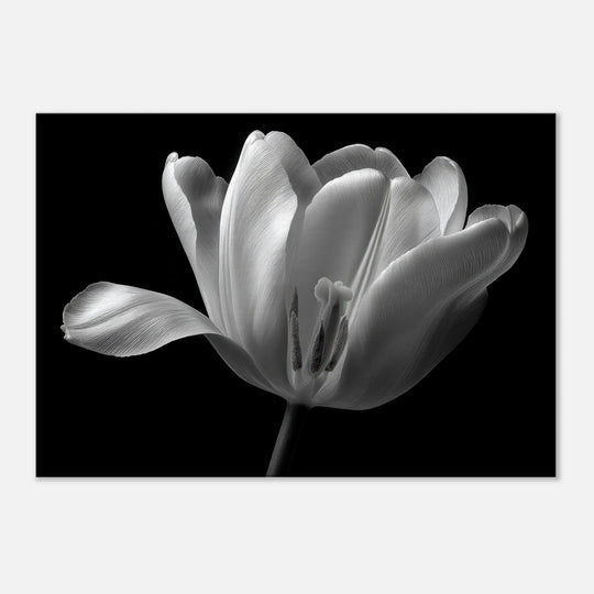 3bf398fa-962d-43fa-8941-13ec65cfe655