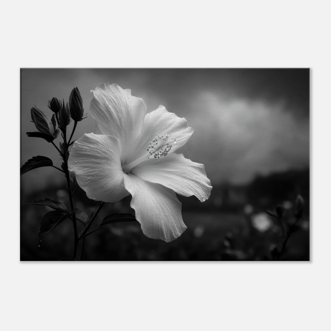 3cb05ba4-26d2-4253-893b-81c0eba7a30b