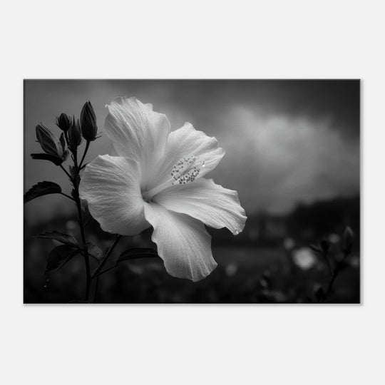 3cb05ba4-26d2-4253-893b-81c0eba7a30b