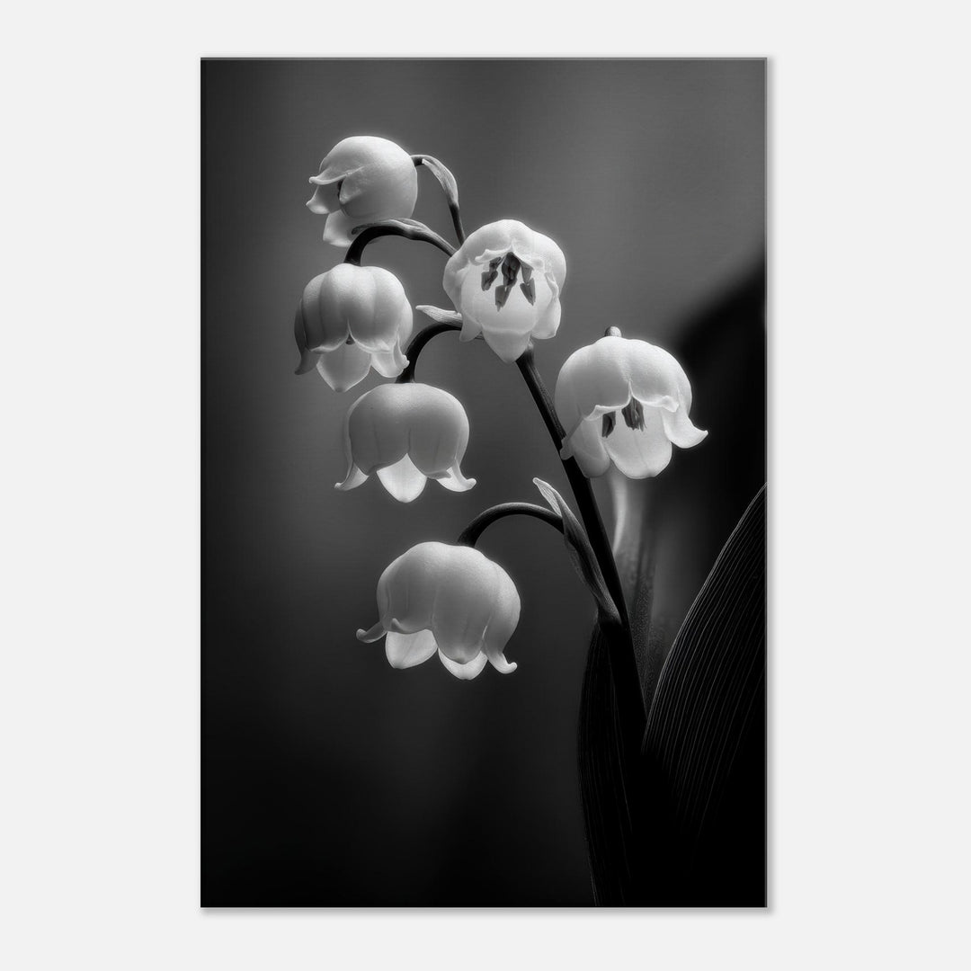 3d1a0f51-9590-4a70-b21f-3850efef486c