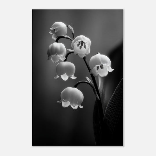 3d1a0f51-9590-4a70-b21f-3850efef486c