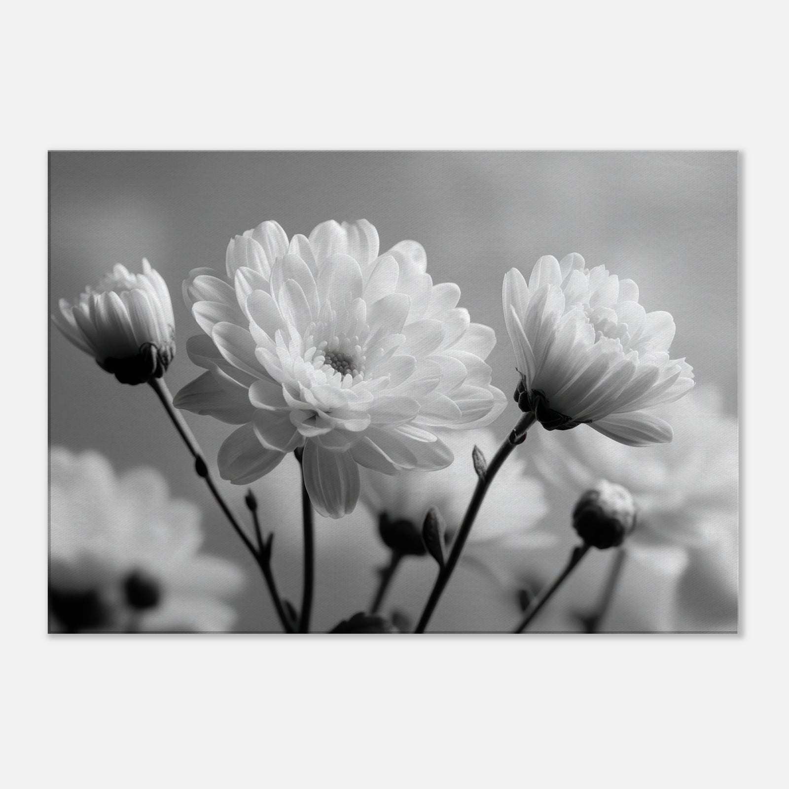 3e36126b-ef55-4bd7-b1ad-00aa432ae9bb