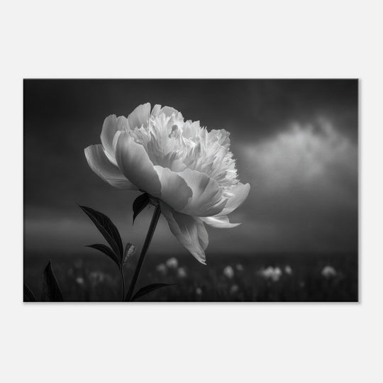 3e3a4a8f-fc22-4c8e-899f-1965dd8eb7eb