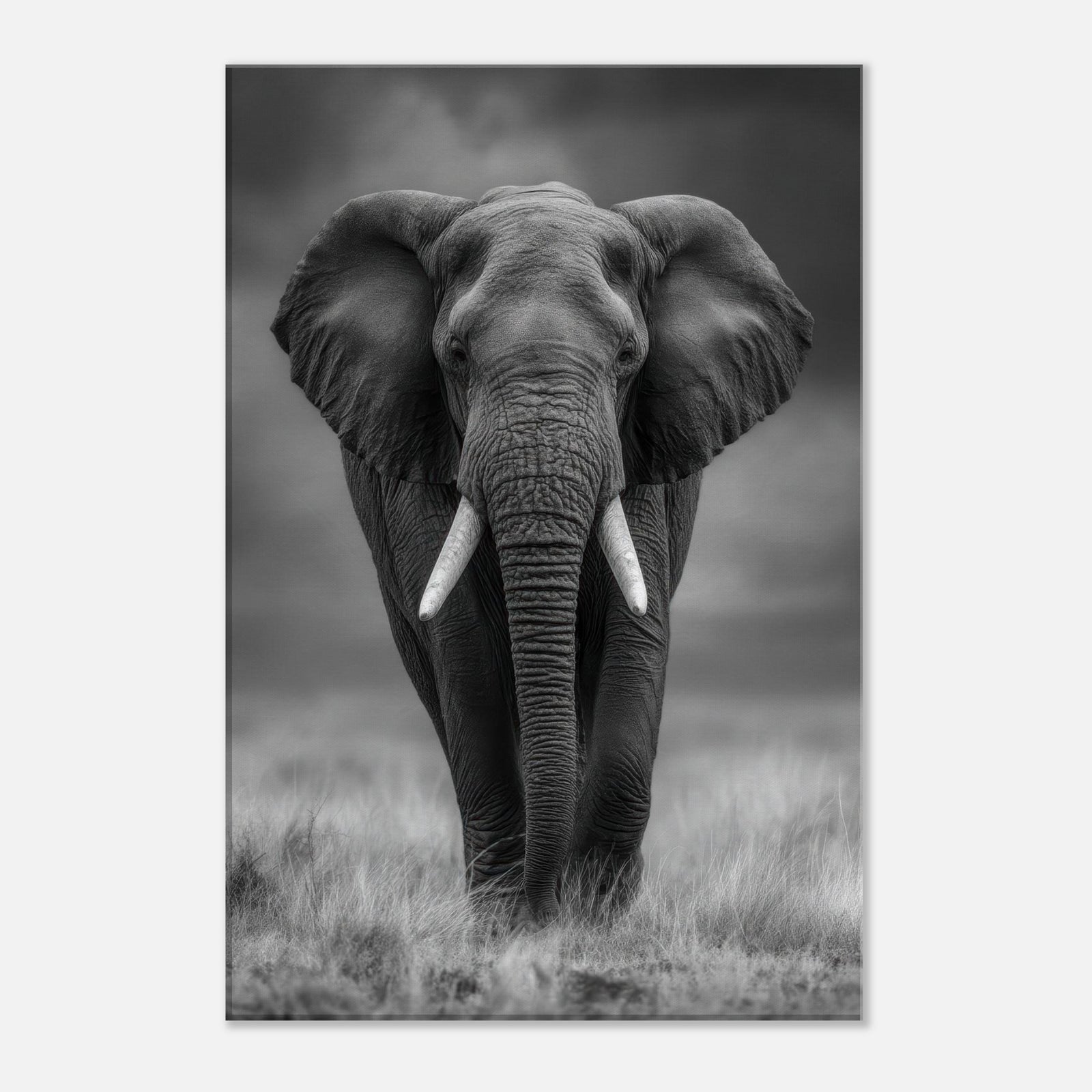 3e43f87d-f59f-4e1b-975a-c5b8921648bf