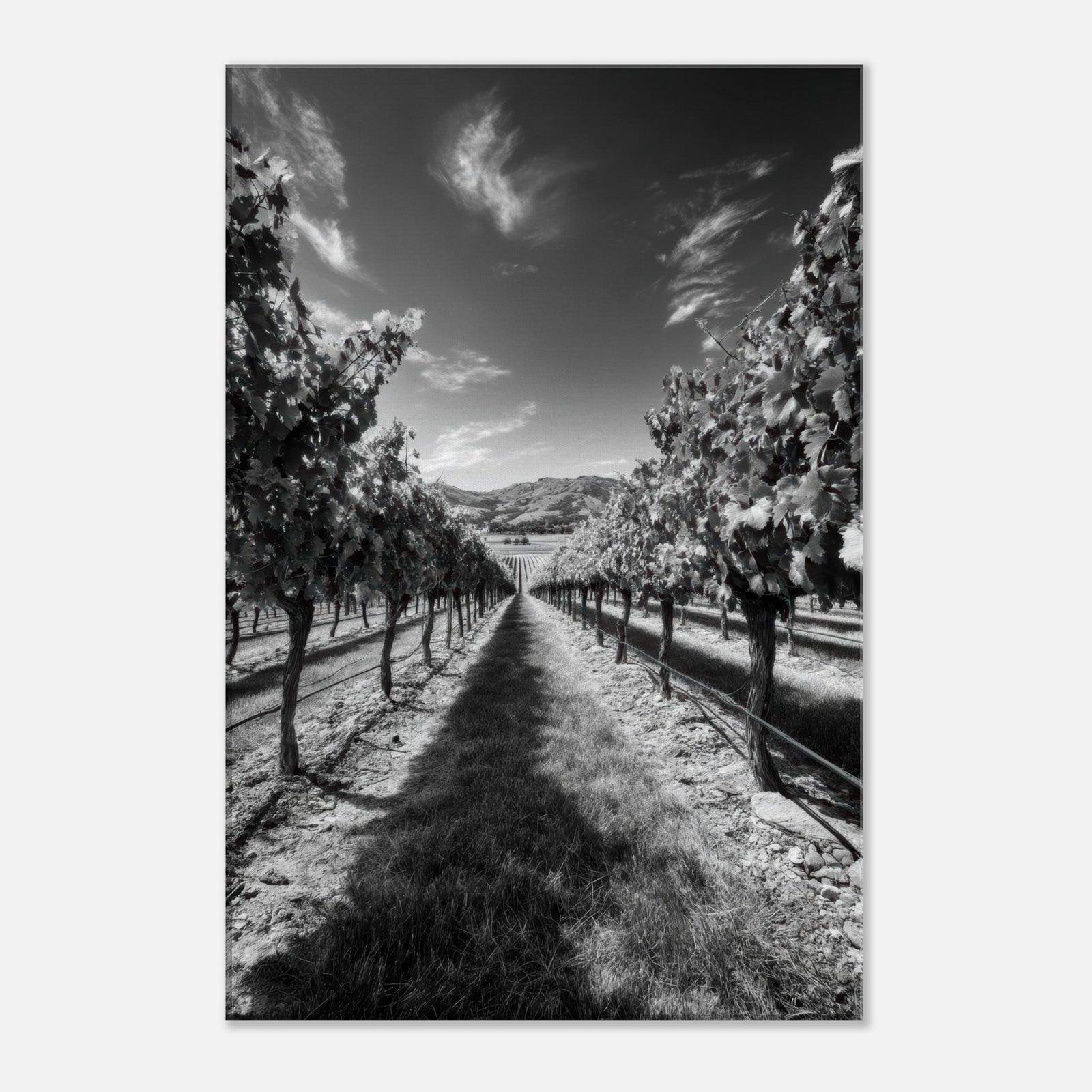 3e89c06e-5c7a-4907-af4c-5f02cae5054c