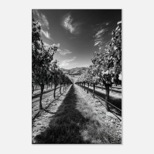 3e89c06e-5c7a-4907-af4c-5f02cae5054c