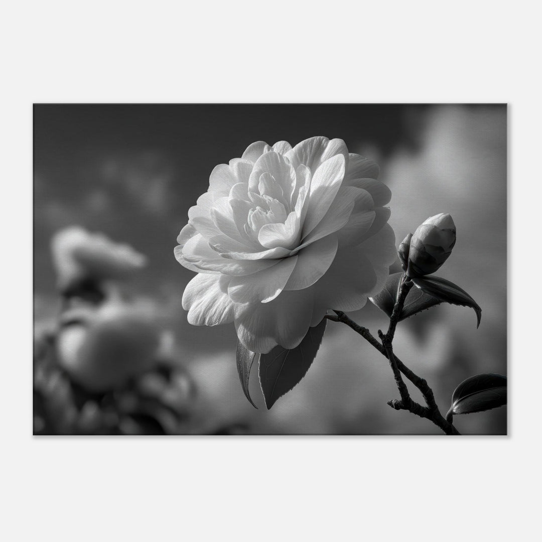 406b8477-cafd-46e2-9ec8-cd39ff452c6a