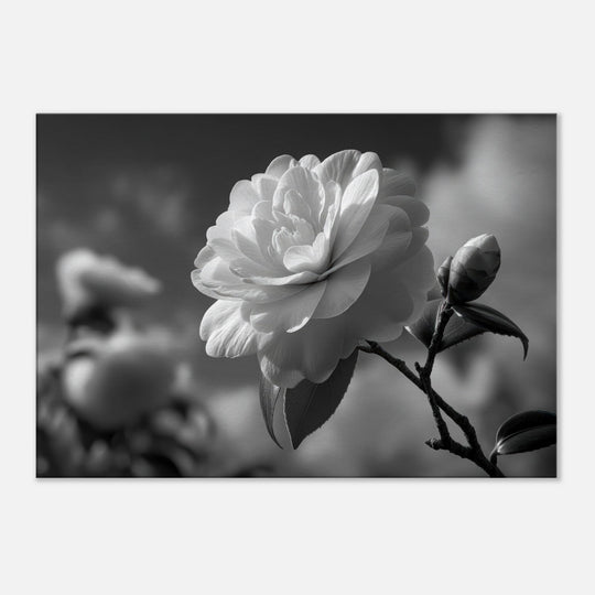 406b8477-cafd-46e2-9ec8-cd39ff452c6a