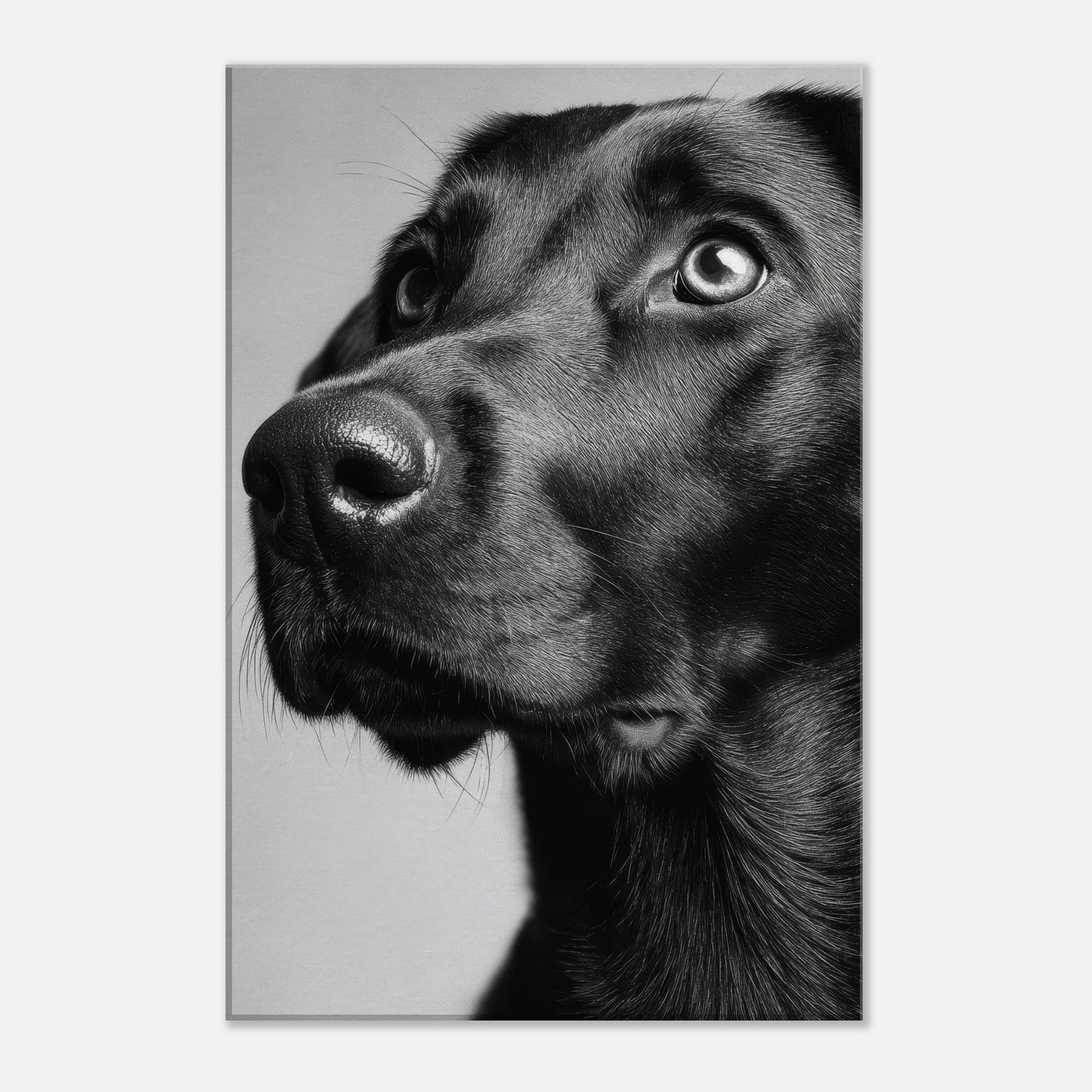 4166175a-12b9-438c-a8ca-1cd9ee63964e