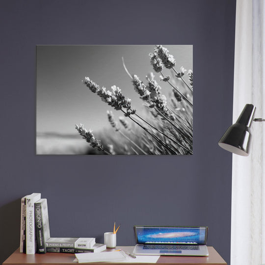 41d54b3b-a499-4abf-ba14-5aeb1ea51c95