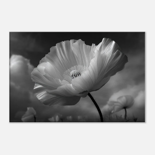 421423c9-c338-45bb-b377-929812e3b893