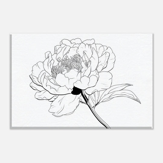 4287ee51-0301-4f3a-9a63-ae2960f57967