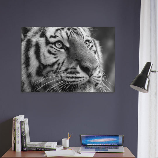 43c6e514-9c78-416d-8894-de0a5221b17a