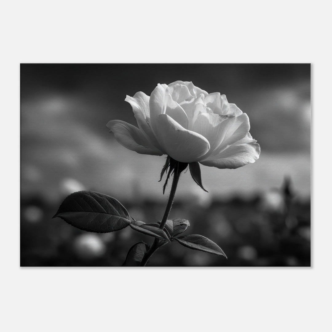 453a765b-6593-45d5-b797-eb41d2265ea6