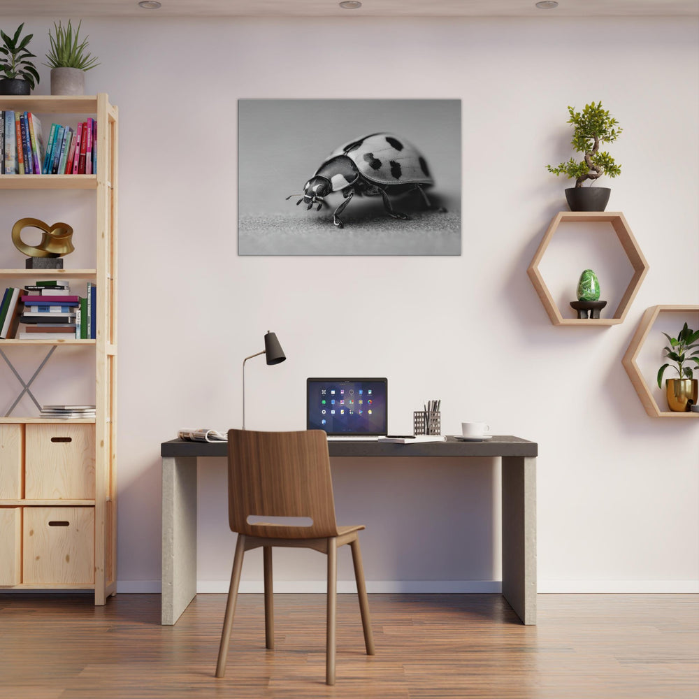 45ce09ae-edc3-402c-9944-9cebbfd9783e