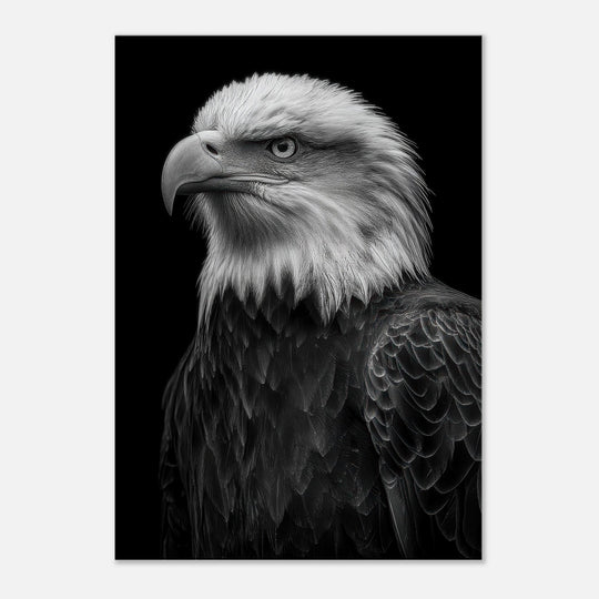 45ed5673-ce49-4ad7-9bfa-6cf58279791d