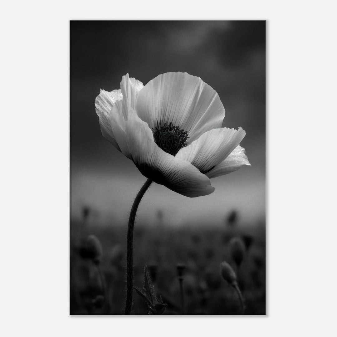 4603bdb2-248d-4305-bbab-d2f749d8771d