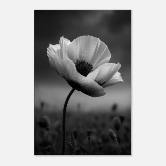 4603bdb2-248d-4305-bbab-d2f749d8771d