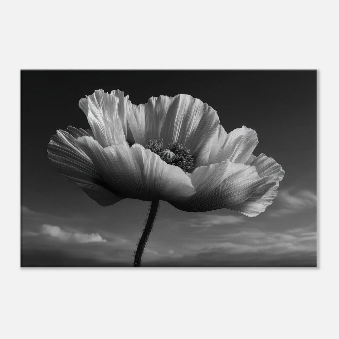 461d242b-7048-49fd-afc1-c26e4e2918ed