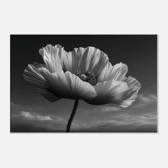 461d242b-7048-49fd-afc1-c26e4e2918ed