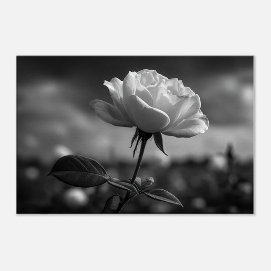 46b65deb-244b-4b11-bdae-e425a5a228fc