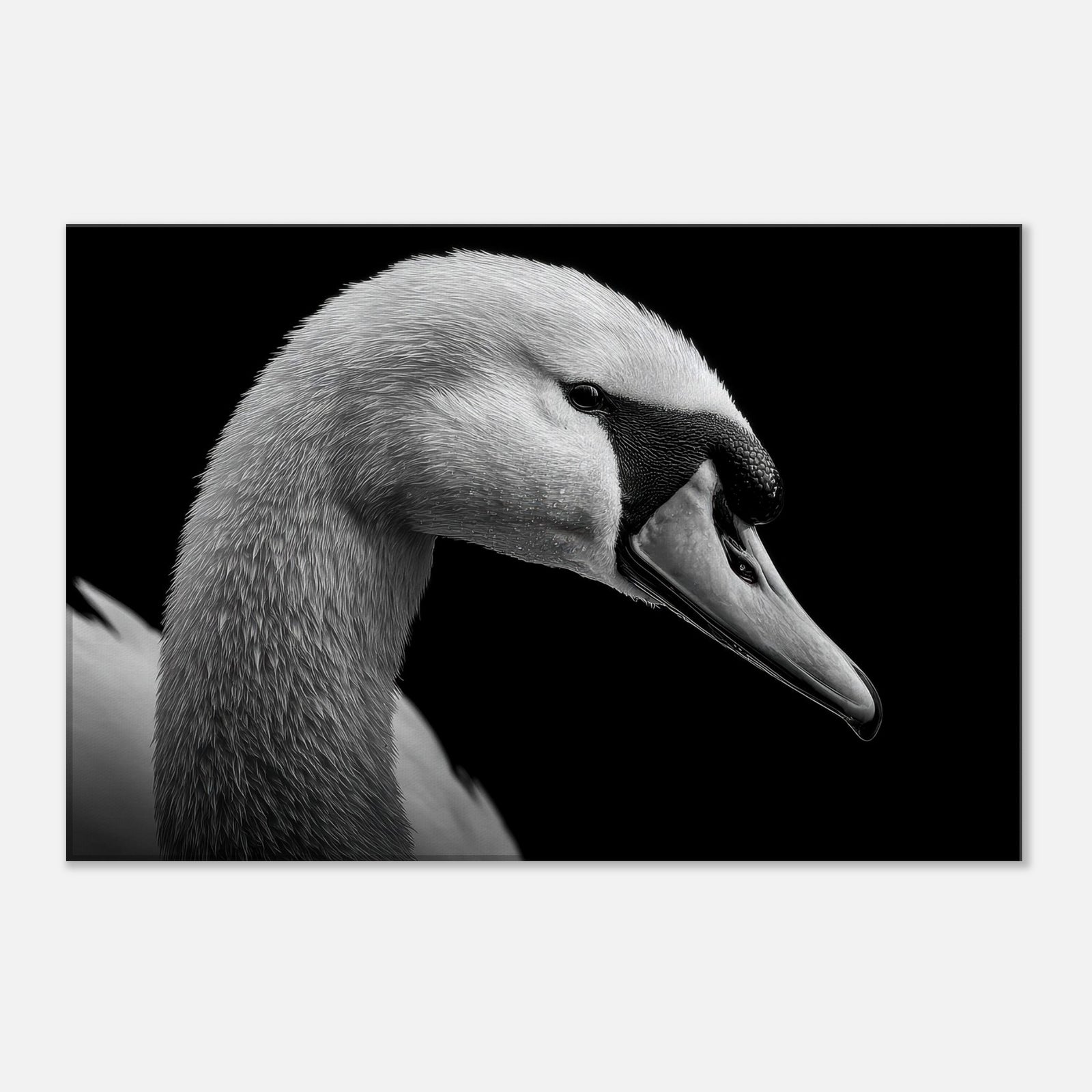 46c8d57f-e5e8-4a94-92de-e3c1bf9f1792