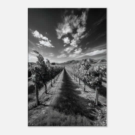 47100404-1826-4135-89ff-5afa6432560f