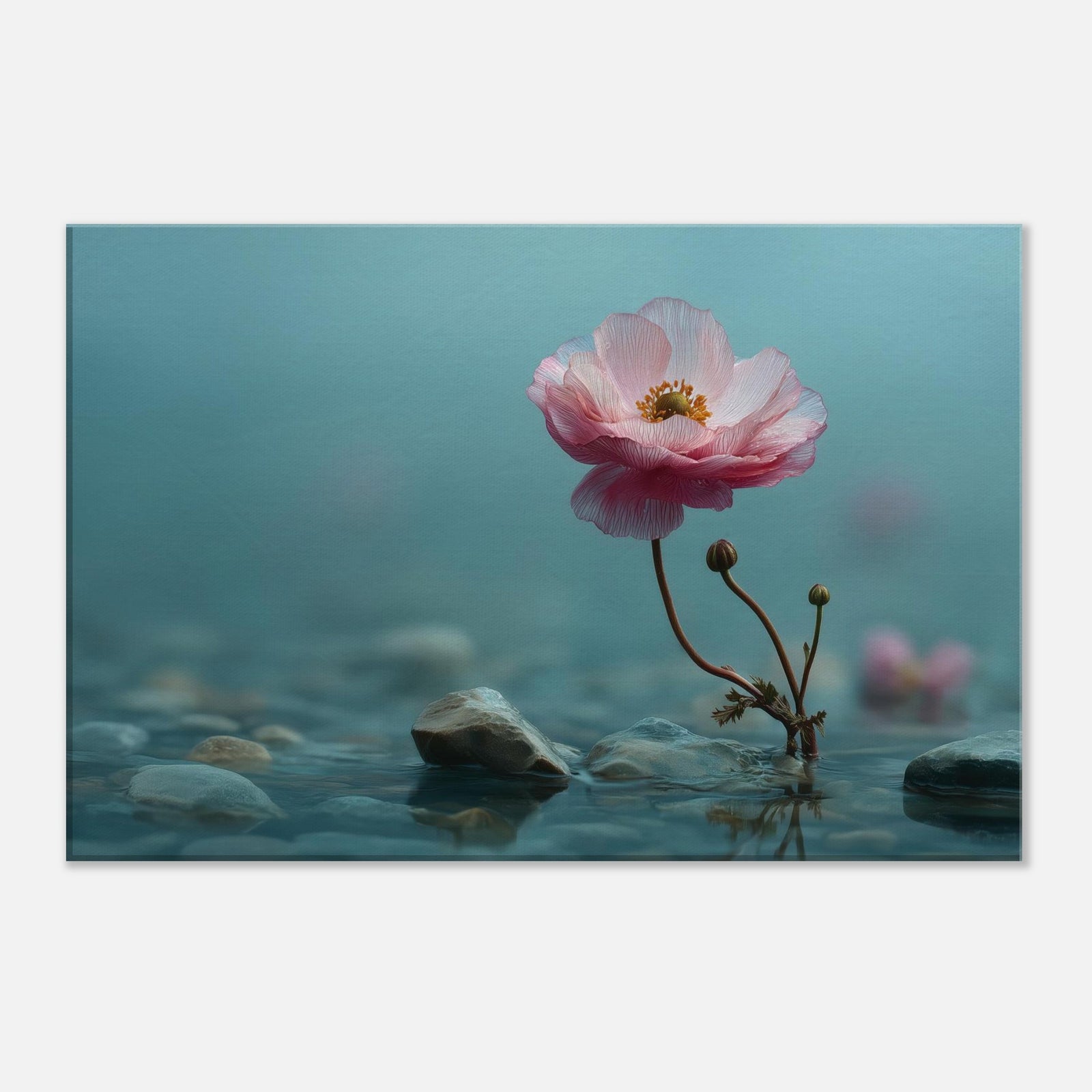 47216d40-cc21-4e99-9aea-1b9d86dd2243