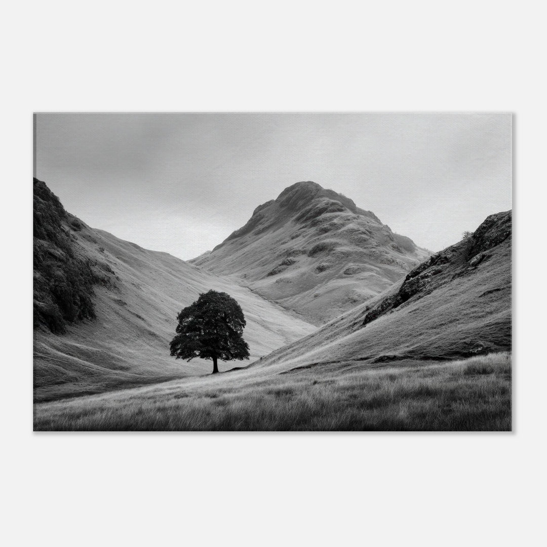 47582abc-84db-4569-a180-43972093f3f2