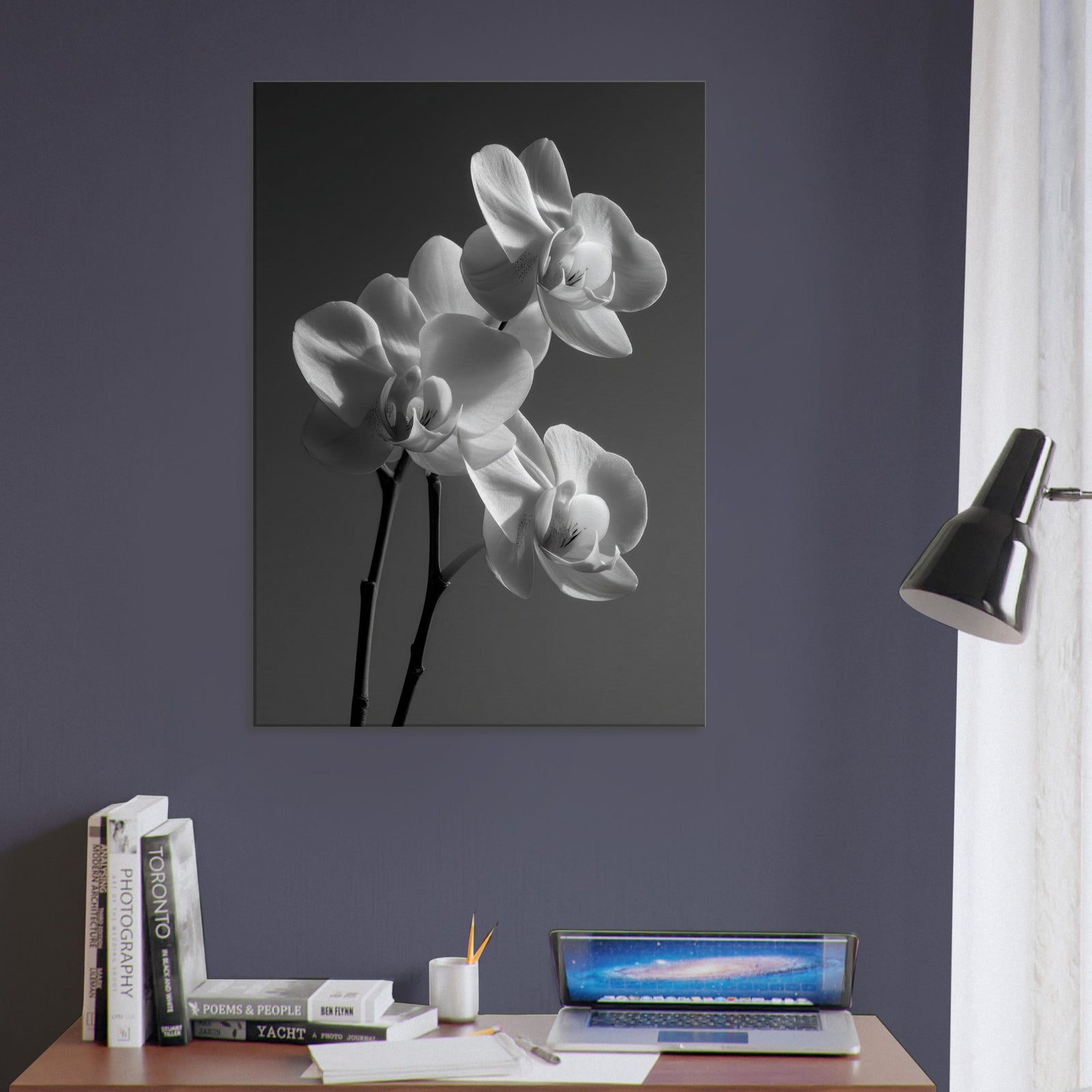 4795c75c-73ce-4a68-8875-c89c15be9471