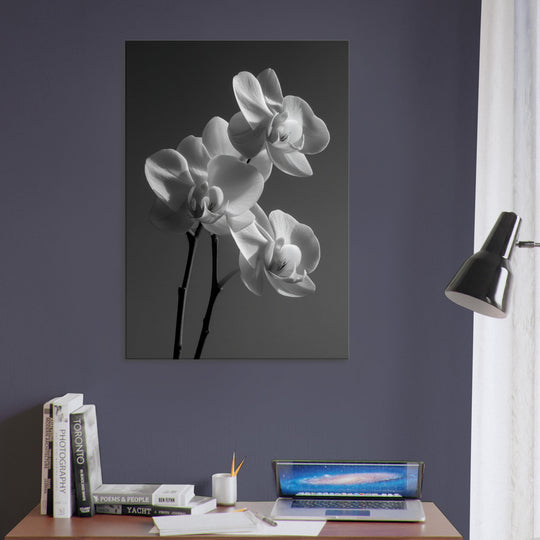 4795c75c-73ce-4a68-8875-c89c15be9471