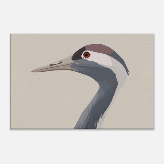 4799f70a-7c21-4d0f-9da5-cb075cf57797