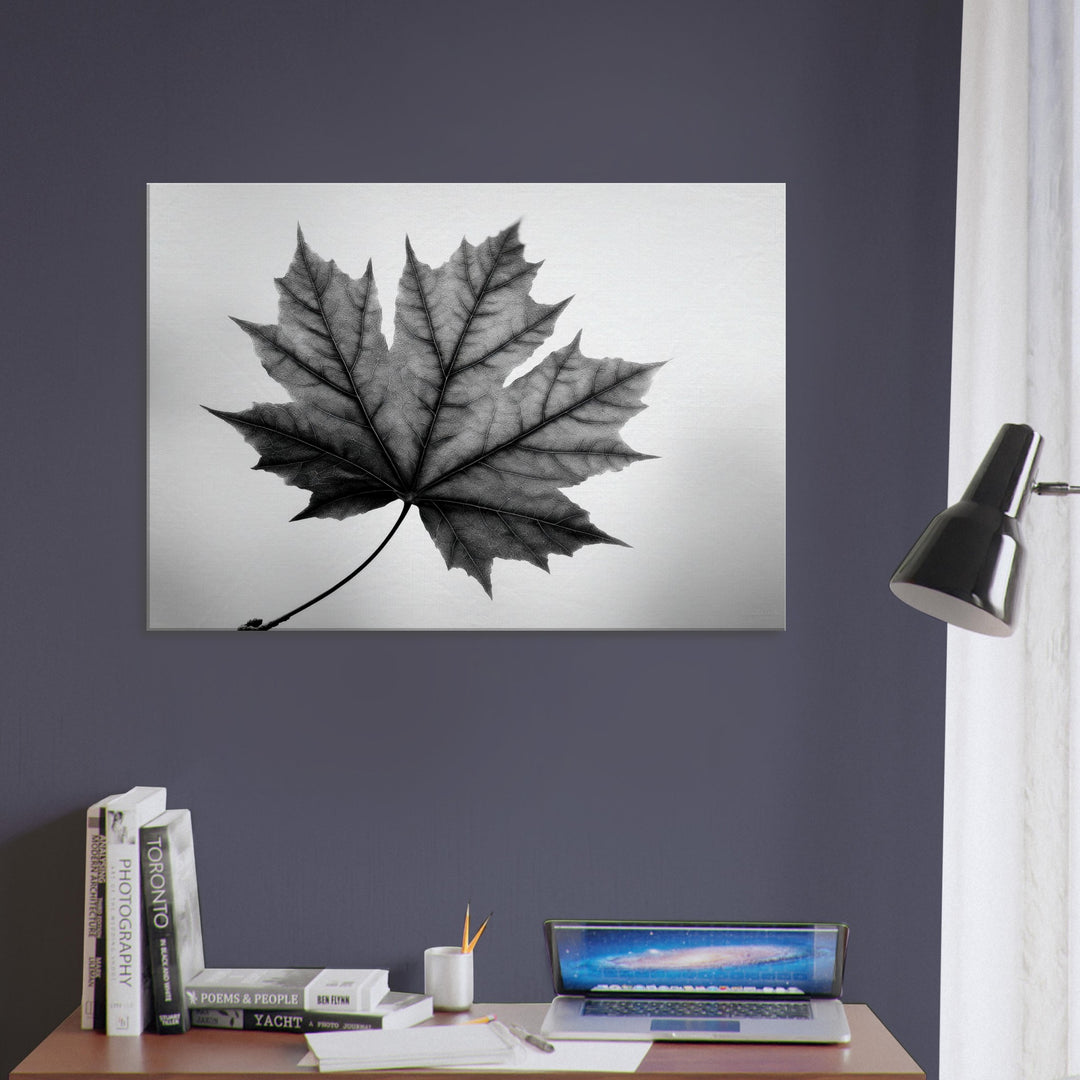 487907f5-3577-4be2-99a8-dce4a5250dd8