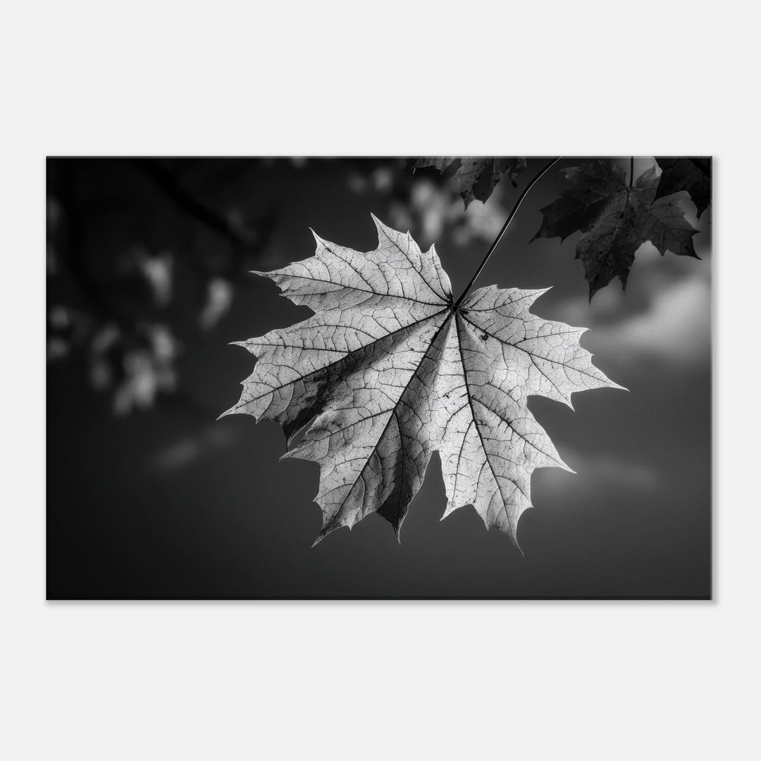 48cd202b-67a6-43b1-abd4-2cebe03637a0