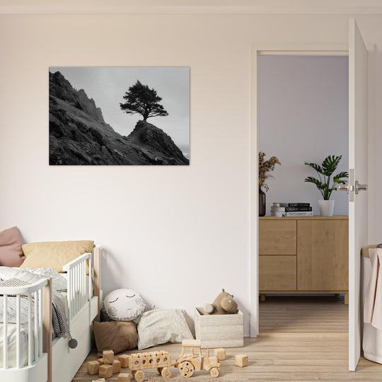 48d09e77-56f2-4e74-b8eb-740fc24efa26