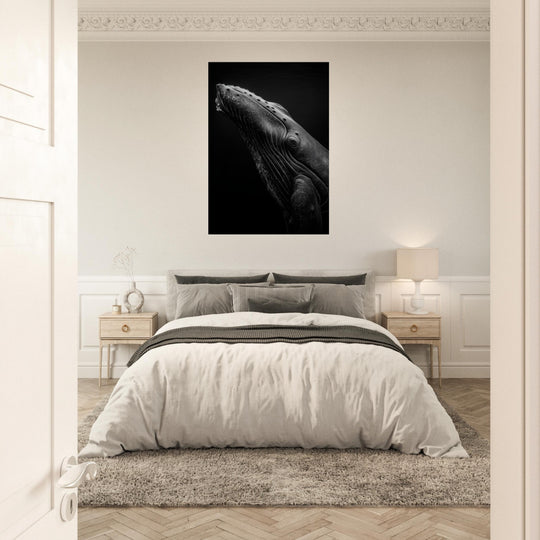 48ed1d52-c32c-44b8-ac0a-5cf583ccf052