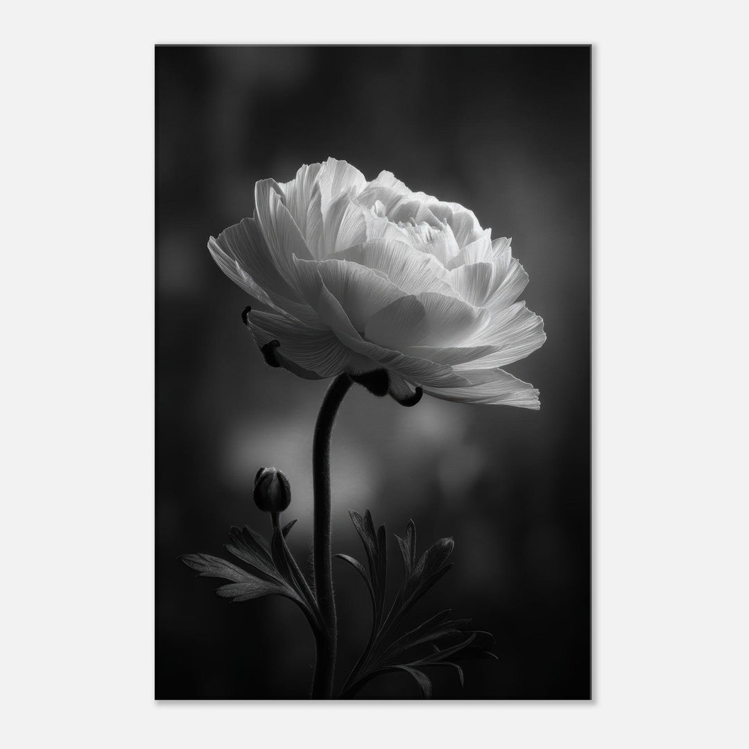 495b065c-eb44-44d8-9825-a8c783708b25