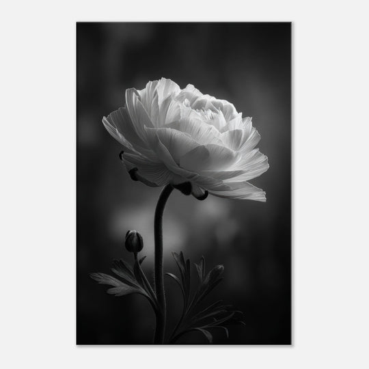 495b065c-eb44-44d8-9825-a8c783708b25