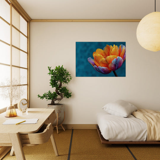 49bf043b-5b40-4aa9-9d82-2ad1c629cd34