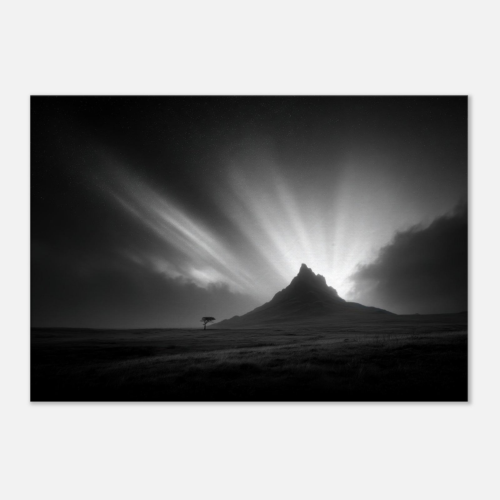 4a2d4ed5-f579-4d4e-af5b-7b141dc07f36