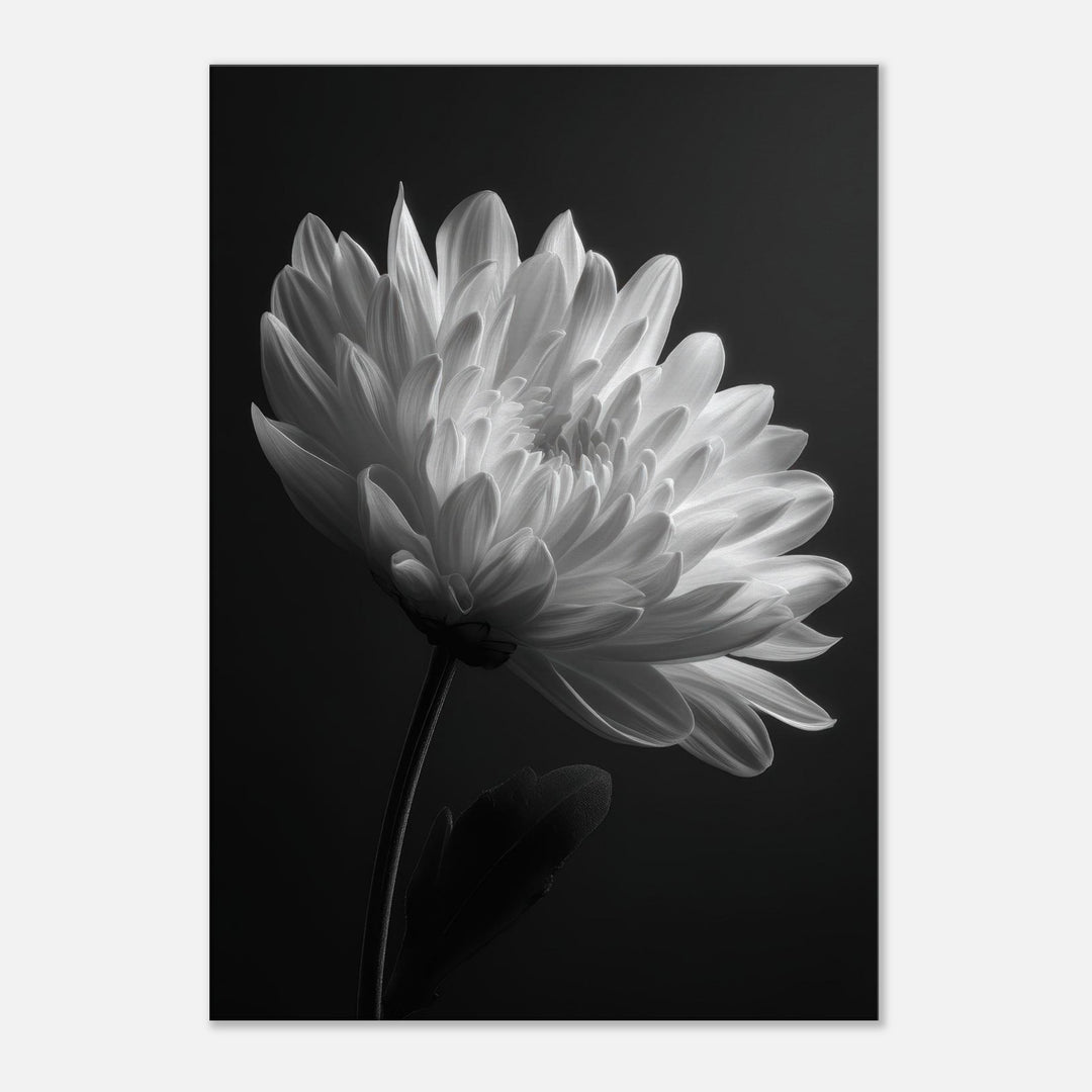 4b4a17f9-33b2-4e81-8f5a-a37d10fbc9bf